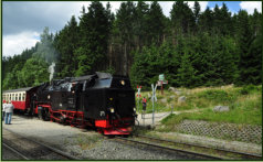Harzer Schmalspurbahn in Schierke